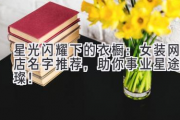 星光闪耀下的衣橱：女装网店名字推荐，助你事业星途璀璨！
