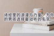 诗经里的浪漫与力量：为你的男孩选择最动听的名字