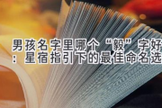 男孩名字里哪个“毅”字好：星宿指引下的最佳命名选择
