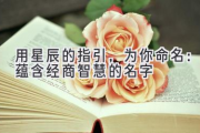 用星辰的指引，为你命名：蕴含经商智慧的名字