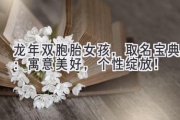 龙年双胞胎女孩，取名宝典：寓意美好，个性绽放！