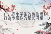 12岁小学生的微信昵称：打造专属你的星光闪耀ID！