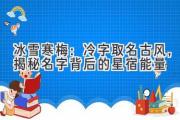 冰雪寒梅：冷字取名古风，揭秘名字背后的星宿能量