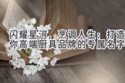 闪耀星河，烹调人生：打造你高端厨具品牌的专属名字
