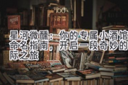 星河微醺：你的专属小酒馆命名指南，开启一段奇妙的星际之旅