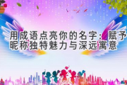 用成语点亮你的名字：赋予昵称独特魅力与深远寓意