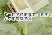带飞翔梦想的寓意：男孩名字中的翱翔意境