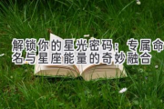 解锁你的星光密码：专属命名与星座能量的奇妙融合