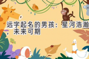 远字起名的男孩：星河浩瀚，未来可期