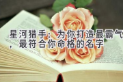 星河猎手：为你打造最霸气，最符合你命格的名字