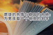 燃烧的热情与稳固的大地：为男孩取一个响亮的名字