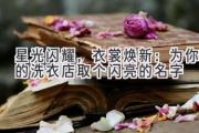 星光闪耀，衣裳焕新：为你的洗衣店取个闪亮的名字