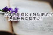 给你的黄狗起个好听的名字，从此开启幸福生活！