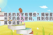 姓毛的名字有哪些？揭秘星光下的命名密码，找到你的专属幸运星！