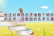 给这对神奇的灵魂取个绝妙的名字：双胞胎的名字大揭秘