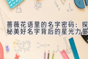 蔷薇花语里的名字密码：探秘美好名字背后的星光力量