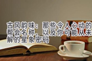 古风韵味：那些令人心动的帮会名称，以及你可能从未了解的星象密码