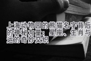 上海动物园的熊猫名字背后的神秘力量：星座、生肖与命运的奇妙交织