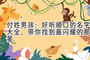 付姓男孩：好听顺口的名字大全，带你找到最闪耀的那颗星