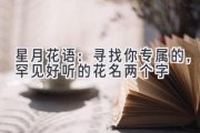 星月花语：寻找你专属的，罕见好听的花名两个字