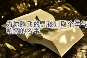 为你腾飞的男孩儿取个洋气响亮的名字