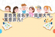 夏姓男孩名字：简单大气，寓意非凡！