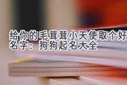 给你的毛茸茸小天使取个好名字：狗狗起名大全