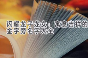 闪耀龙子龙女：寓意吉祥的金字旁名字大全