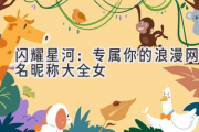闪耀星河：专属你的浪漫网名昵称大全女