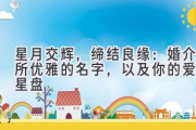 星月交辉，缔结良缘：婚介所优雅的名字，以及你的爱情星盘