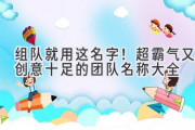 组队就用这名字！超霸气又创意十足的团队名称大全