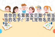 给你的毛茸茸宝贝取个响当当的名字：洋气宠物名灵感大全