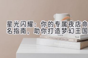 星光闪耀：你的专属夜店命名指南，助你打造梦幻王国