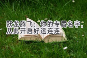 跃龙腾飞：你的专属名字，从此开启好运连连