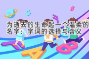 为逝去的生命起一个温柔的名字：字词的选择与含义