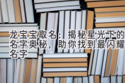 龙宝宝取名：揭秘星光下的名字奥秘，助你找到最闪耀的名字