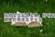 陆姓宝宝起名宝典：好听又顺口的男孩名字大全