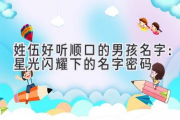 姓伍好听顺口的男孩名字：星光闪耀下的名字密码