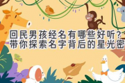 回民男孩经名有哪些好听？带你探索名字背后的星光密码