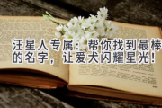 汪星人专属：帮你找到最棒的名字，让爱犬闪耀星光！
