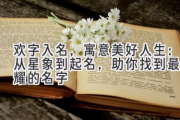 欢字入名，寓意美好人生：从星象到起名，助你找到最闪耀的名字