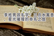李姓男孩名字：三点水寓意，星光璀璨的命名之旅