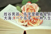 姓谷男孩，名字里藏着星辰大海：一个名字，一种人生