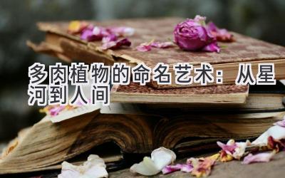 多肉植物的命名艺术:从星河到人间