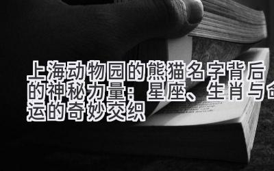  上海动物园的熊猫名字背后的神秘力量：星座、生肖与命运的奇妙交织 