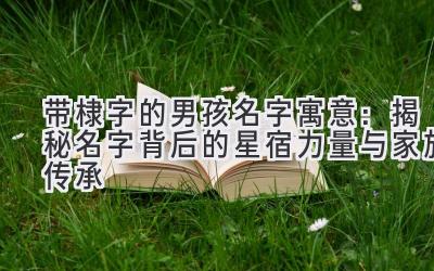  带棣字的男孩名字寓意：揭秘名字背后的星宿力量与家族传承 