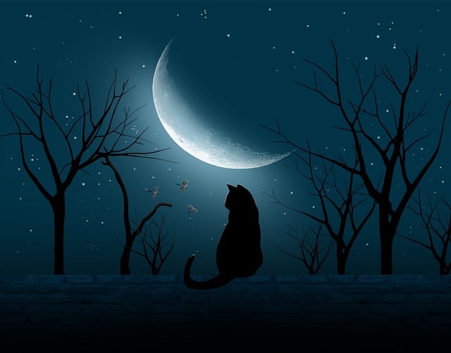 11月搬家吉日:你的星座搬迁指南,别错过好运势!