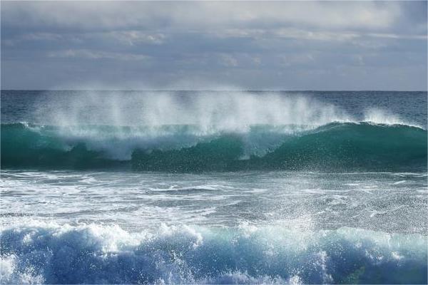 免费起名打分免费测试