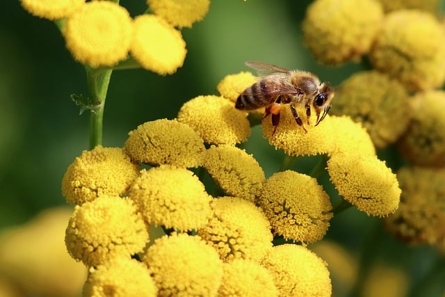 狂月天时：6月8日，你的星座故事 