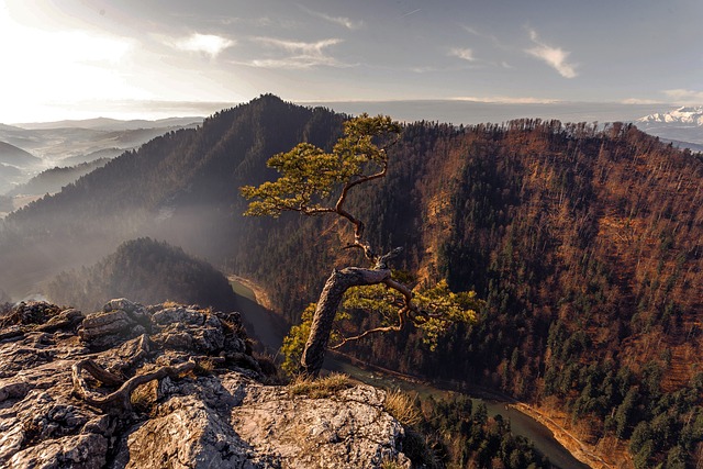  “男不娶五，女不嫁六”：古老智慧与现代爱情的碰撞 